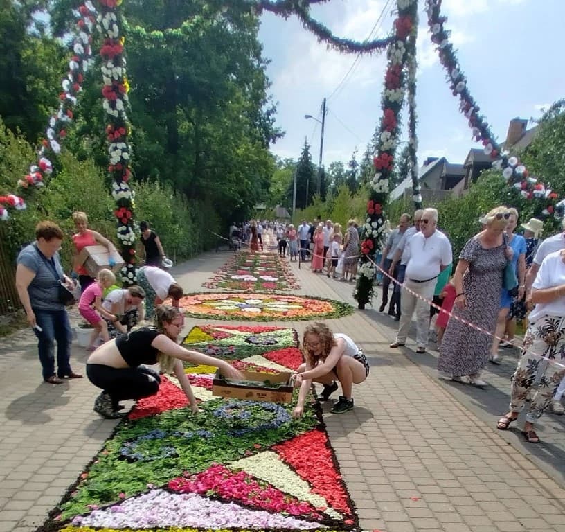 Mieszkańcy układają kwietny dywan na ulicy w Spycimierzu