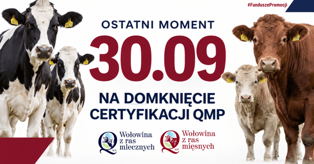 Grafika kampanii o terminie certyfikacji QMP do 30 września