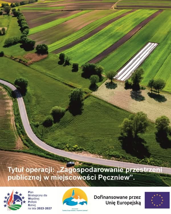 Plansza informacyjna operacji „Zagospodarowanie przestrzeni publicznej w miejscowości Pęczniew” z logotypami PS WPR, LGD i UE