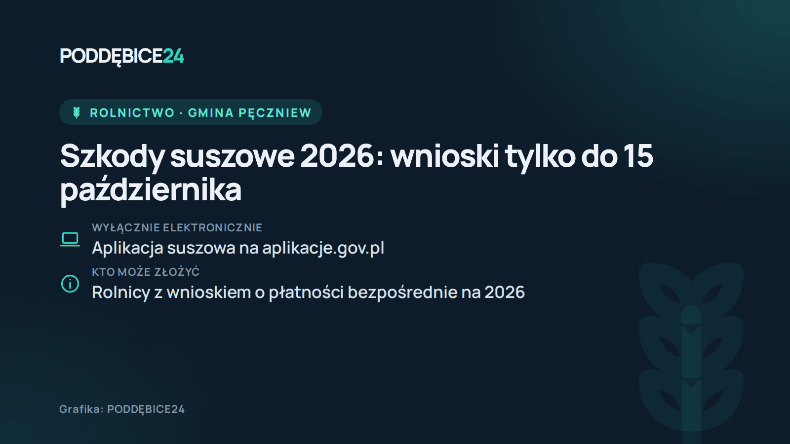 PODDĘBICE24