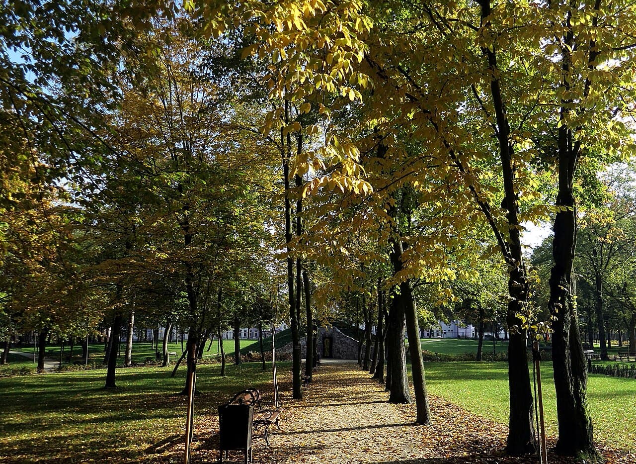 Park w Poddębicach